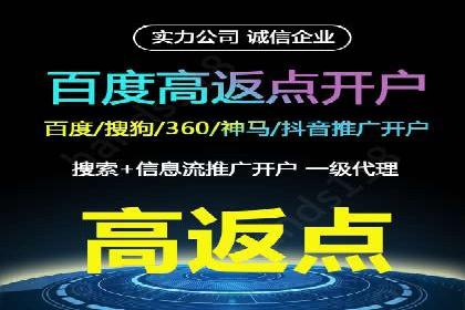 百度广告竞价策略详解：某电商平台的成功案例